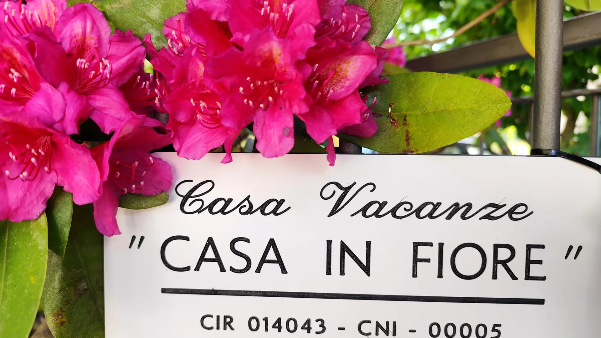 CASA IN FIORE, Sondrio (Lazio)