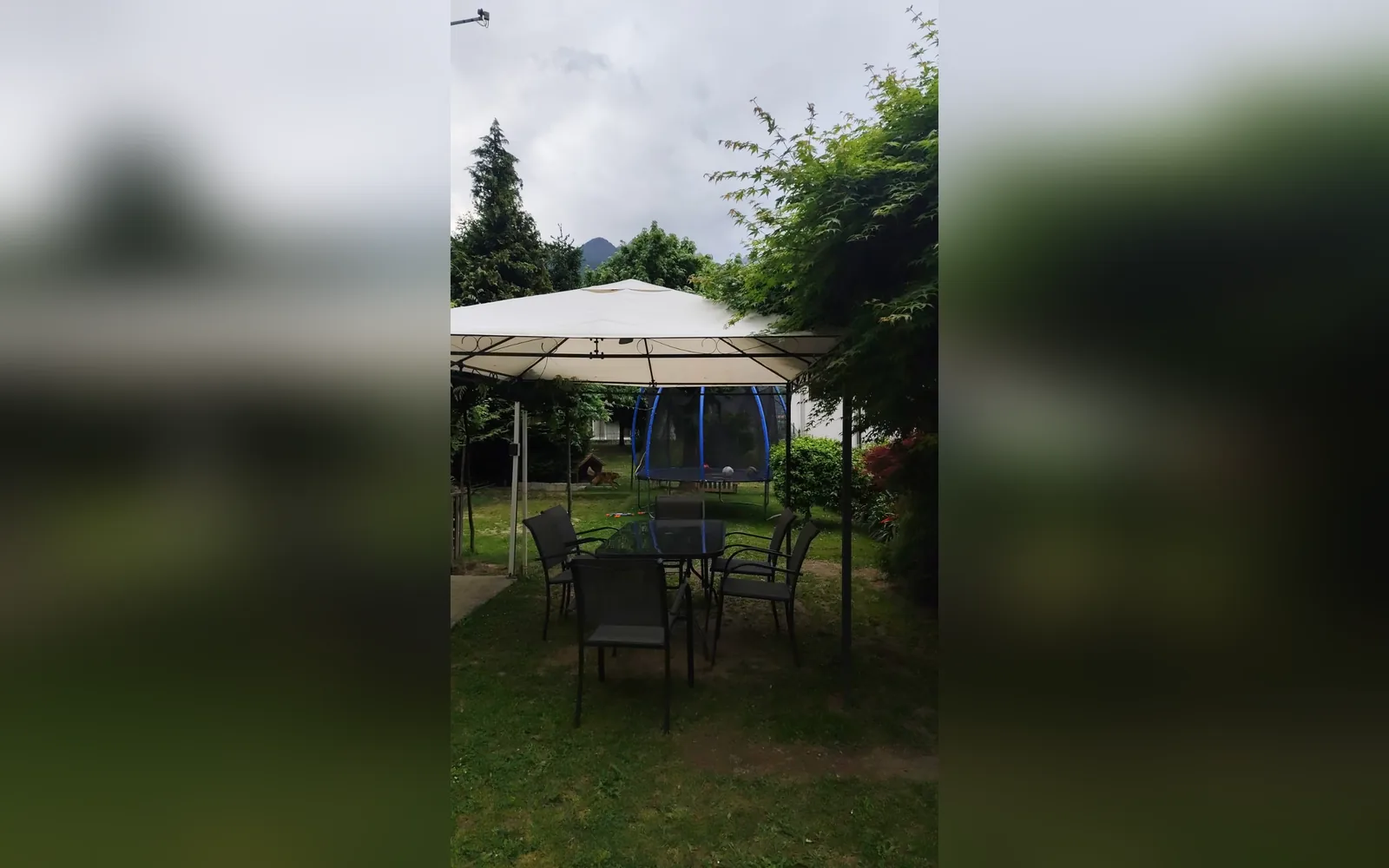 Giardino di CASA IN FIORE, Sondrio (Lazio) (foto 5)